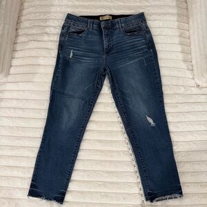 Democracy Ab Technology Dark Blue Distressed Ankle Jeans